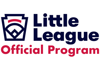 Youth Baseball League  Rowlett, TX - Official Website